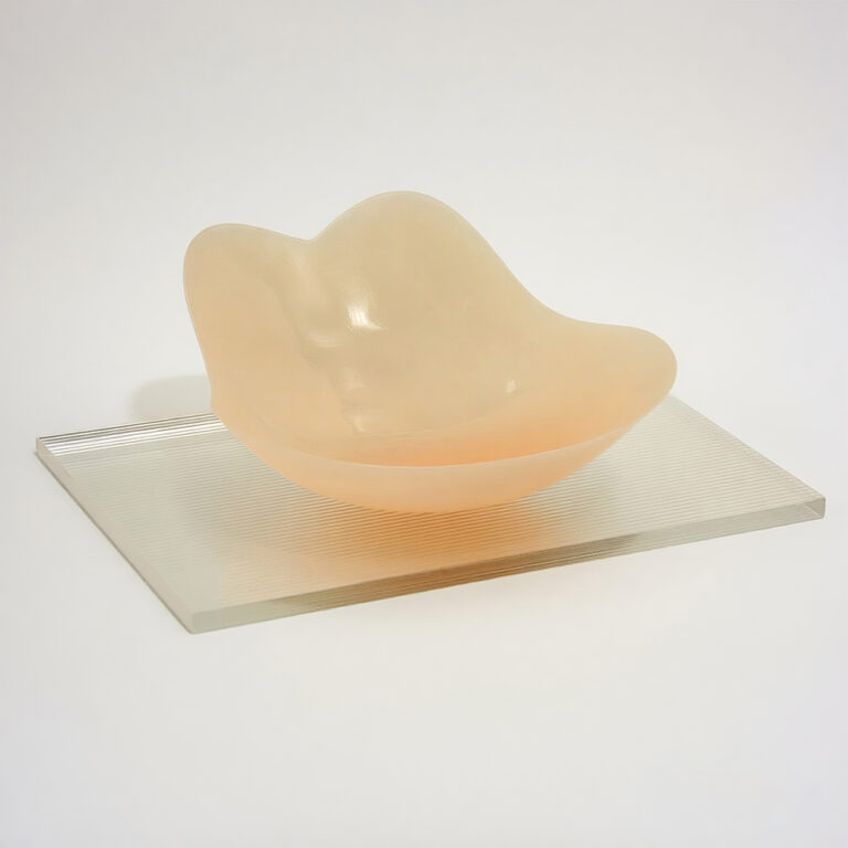 Breast-Petals-Nipple-Stick-Covers-for-Large-Breasts-Big-Boobs-No-Bra-3